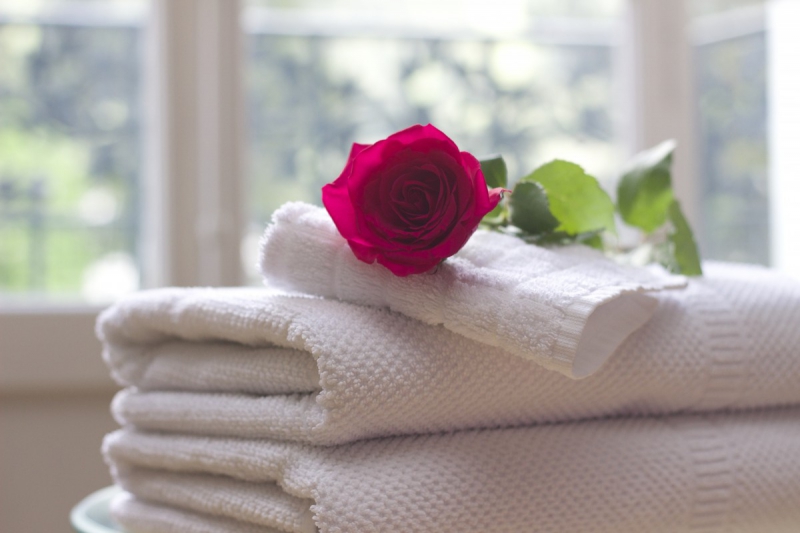 hotel-PLAN D AUPS STE BAUME-min_towel_rose_clean_care_salon_spa_white_bath-731641